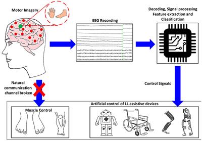 EEG-Based BCI Control Schemes for Lower-Limb Assistive-Robots